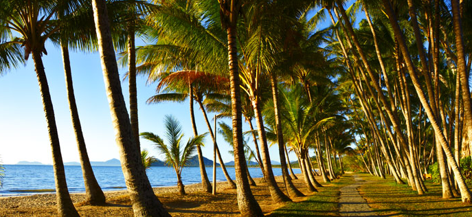 Palm Cove Queensland
